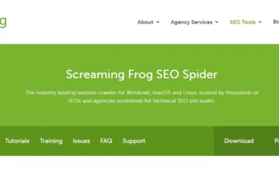 Découvrez comment Screaming frog révolutionne l&rsquo;analyse SEO et booste votre croissance digitale