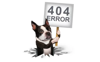 Erreur 404 : Transformez chaque page introuvable en opportunité SEO !